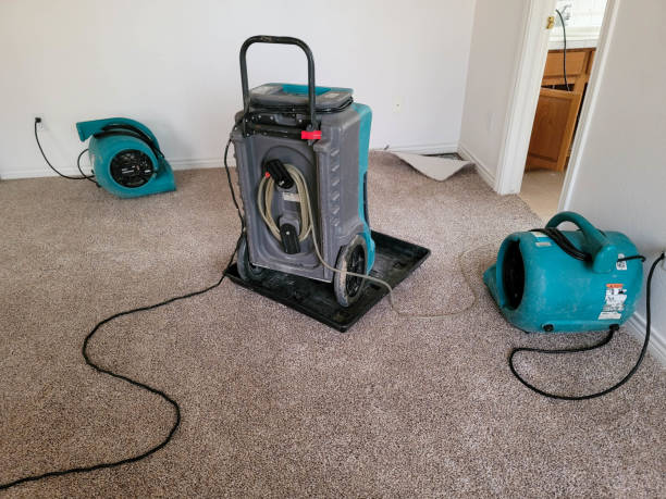 Best Professional water damage repair  in Yakima, WA