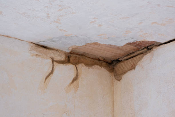 Best Basement water damage restoration  in Yakima, WA