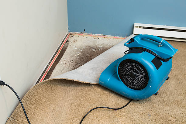 Best Local water damage restoration  in Yakima, WA